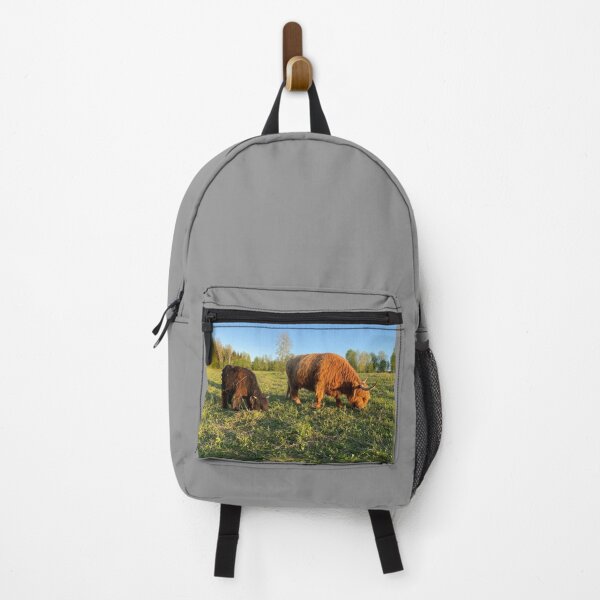 Item preview, Scottish Highland Cattle Cows 4430 designed and sold by SaarelaHighland.