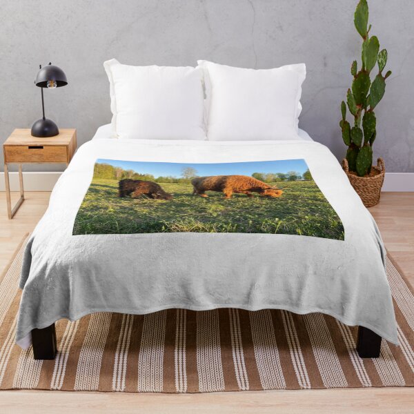 Item preview, Scottish Highland Cattle Cows 4430 designed and sold by SaarelaHighland.