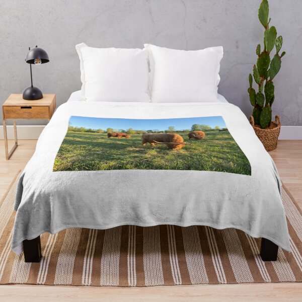 Item preview, Scottish Highland Cattle Cows 4431 designed and sold by SaarelaHighland.