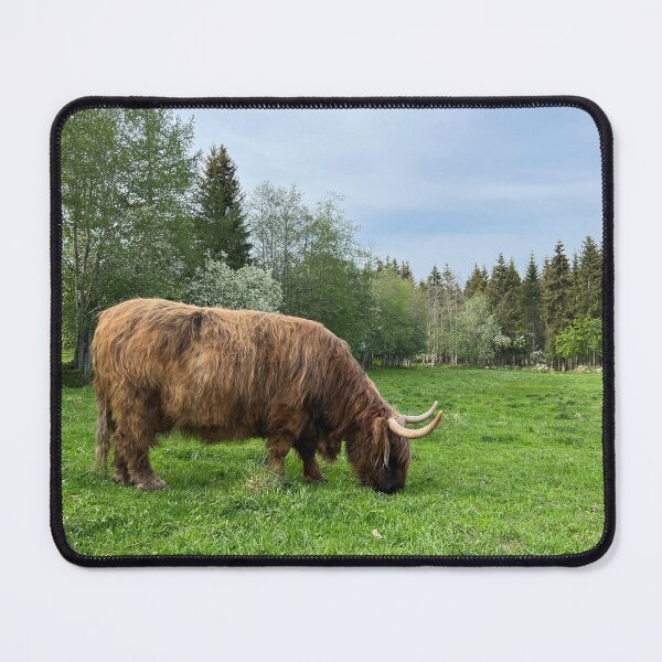 Item preview, Scottish Highland Cattle Cow 4432 designed and sold by SaarelaHighland.