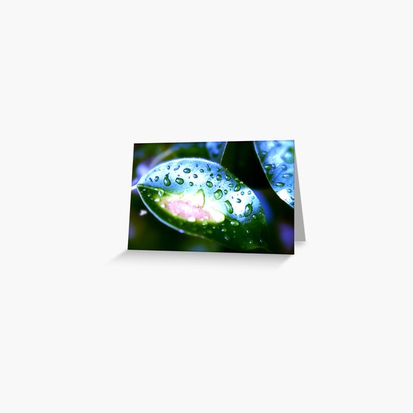 Leaf At Night Greeting Card