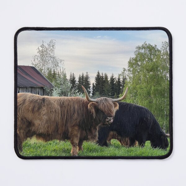 Item preview, Scottish Highland Cattle Cow 4433 designed and sold by SaarelaHighland.