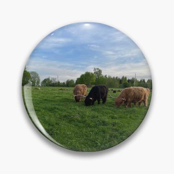 Item preview, Scottish Highland Cattle Cows 4434 designed and sold by SaarelaHighland.
