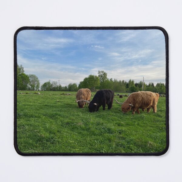 Item preview, Scottish Highland Cattle Cows 4434 designed and sold by SaarelaHighland.
