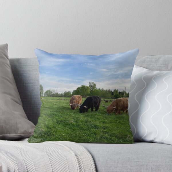 Item preview, Scottish Highland Cattle Cows 4434 designed and sold by SaarelaHighland.