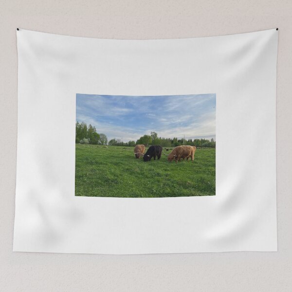 Item preview, Scottish Highland Cattle Cows 4434 designed and sold by SaarelaHighland.