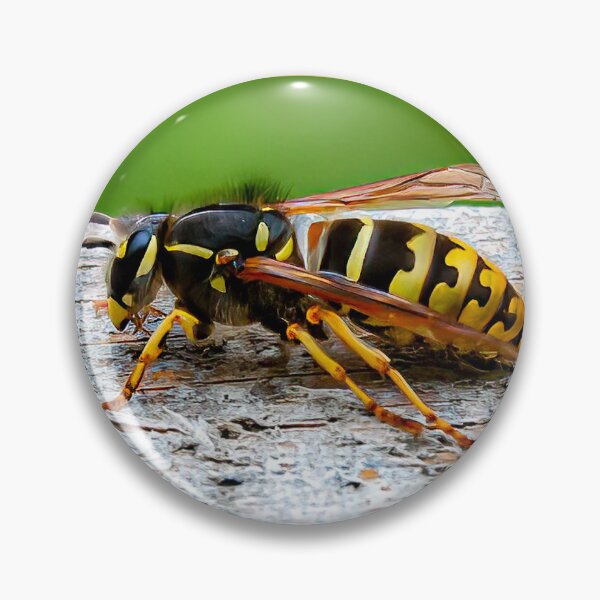Item preview, Wasp designed and sold by Dalyndigital Photography.
