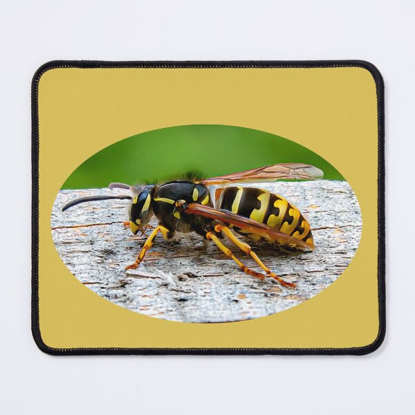 Item preview, Wasp designed and sold by Dalyndigital Photography.