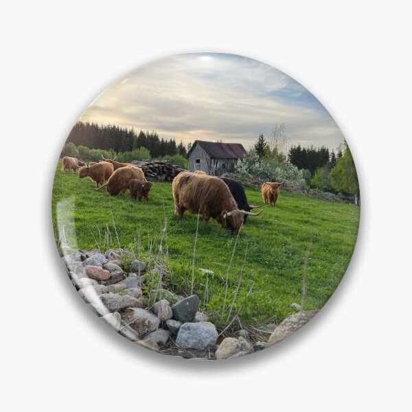 Item preview, Scottish Highland Cattle Cows 4435 designed and sold by SaarelaHighland.