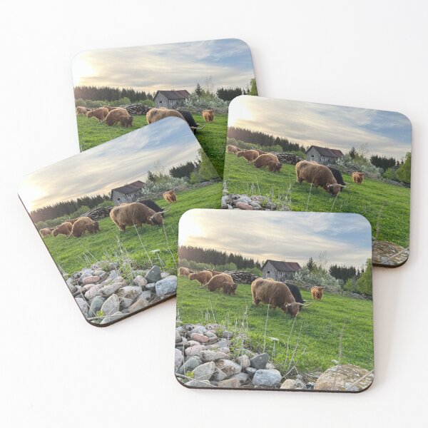 Item preview, Scottish Highland Cattle Cows 4435 designed and sold by SaarelaHighland.