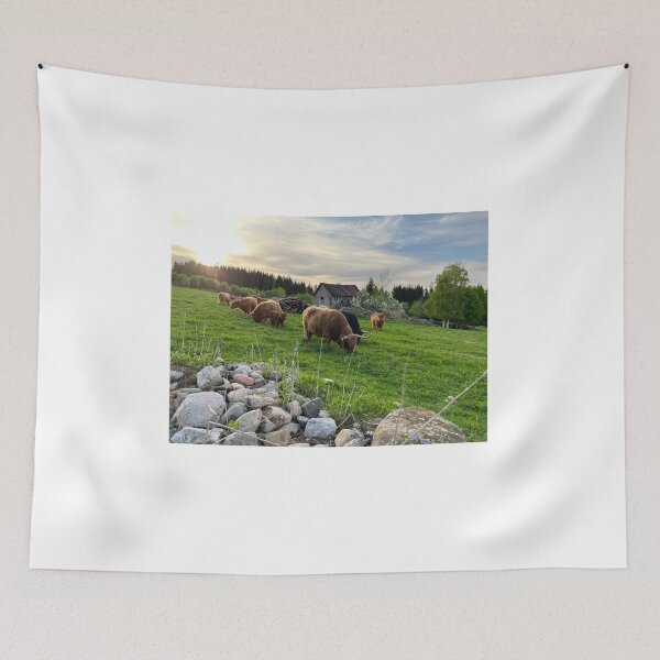 Item preview, Scottish Highland Cattle Cows 4435 designed and sold by SaarelaHighland.