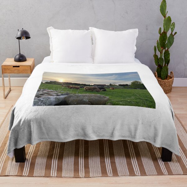 Item preview, Scottish Highland Cattle Cows 4436 designed and sold by SaarelaHighland.