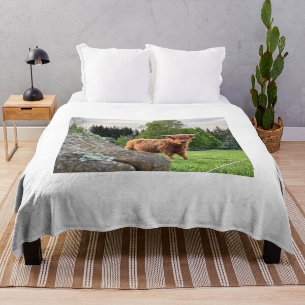 Item preview, Scottish Highland Cattle Cow 4437 designed and sold by SaarelaHighland.
