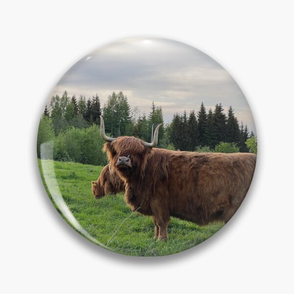 Item preview, Scottish Highland Cattle Cow 4438 designed and sold by SaarelaHighland.