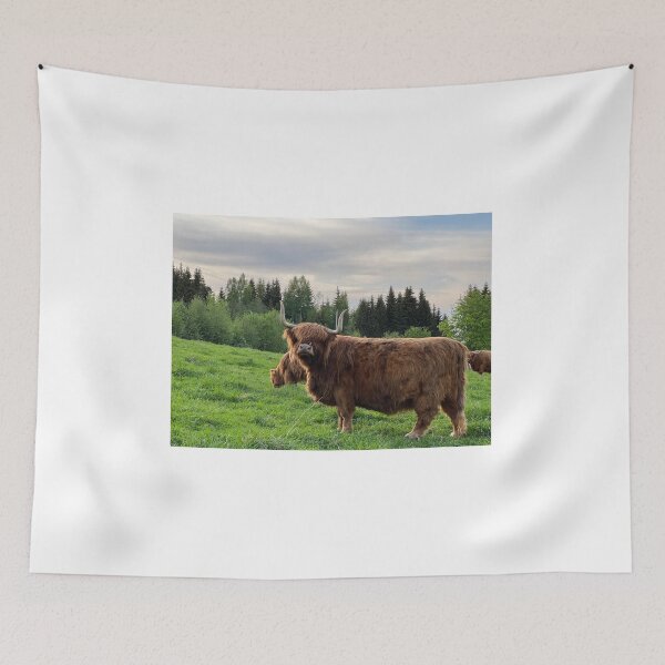 Item preview, Scottish Highland Cattle Cow 4438 designed and sold by SaarelaHighland.