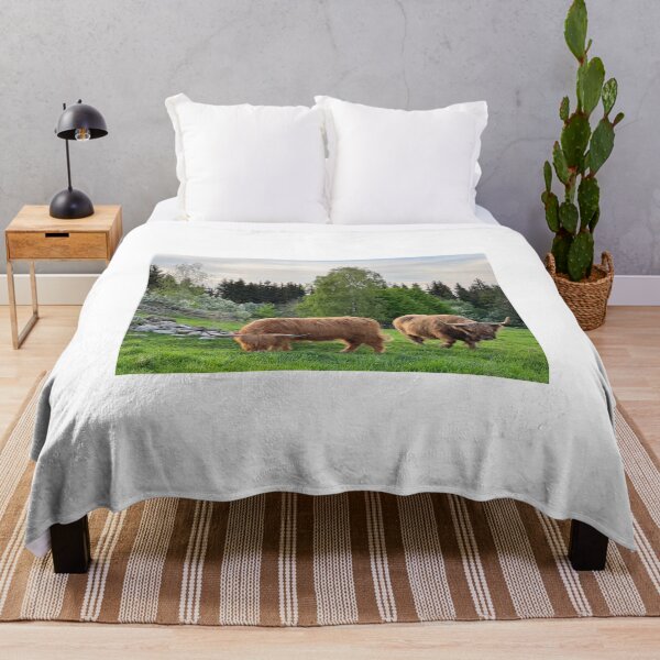 Artikelvorschau, Kopie von Kopie von Kopie von Kopie von Kopie von Kopie von Kopie von Kopie von Kopie von Kopie von Kopie von Scottish Highland Cattle Cow entworfen und verkauft von SaarelaHighland.