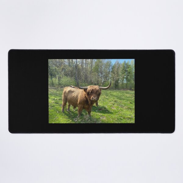 Item preview, Scottish Highland Cattle Bull 4442 designed and sold by SaarelaHighland.
