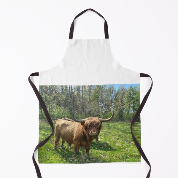 Item preview, Scottish Highland Cattle Bull 4442 designed and sold by SaarelaHighland.