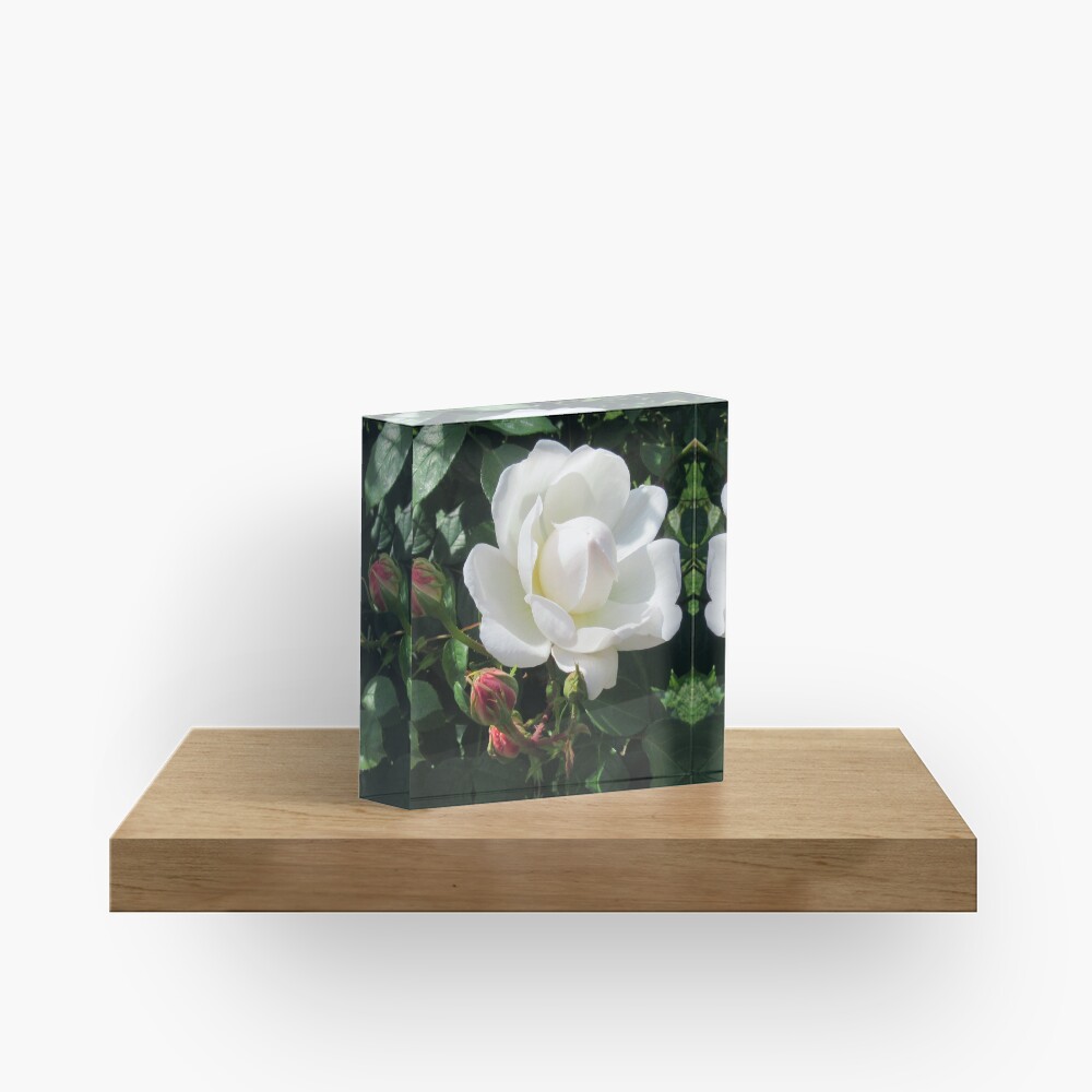 Item preview, Acrylic Block designed and sold by DDHA.