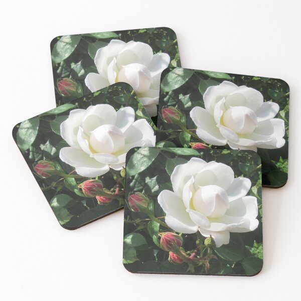 Item preview, White Rose designed and sold by DDHA.