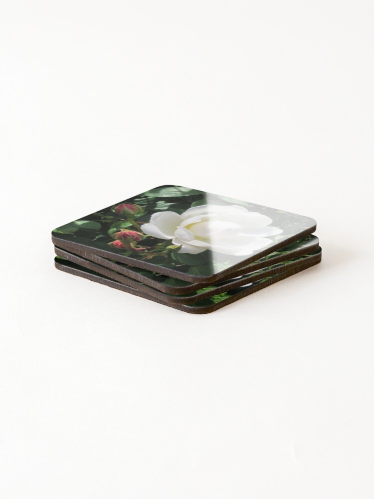 Thumbnail 4 of 5, Coasters (Set of 4), White Rose designed and sold by DDHA.