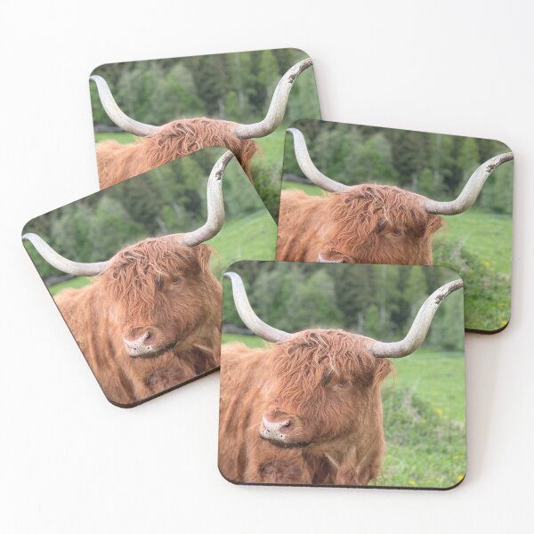 Item preview, Scottish Highland Cattle Cow 4444 designed and sold by SaarelaHighland.
