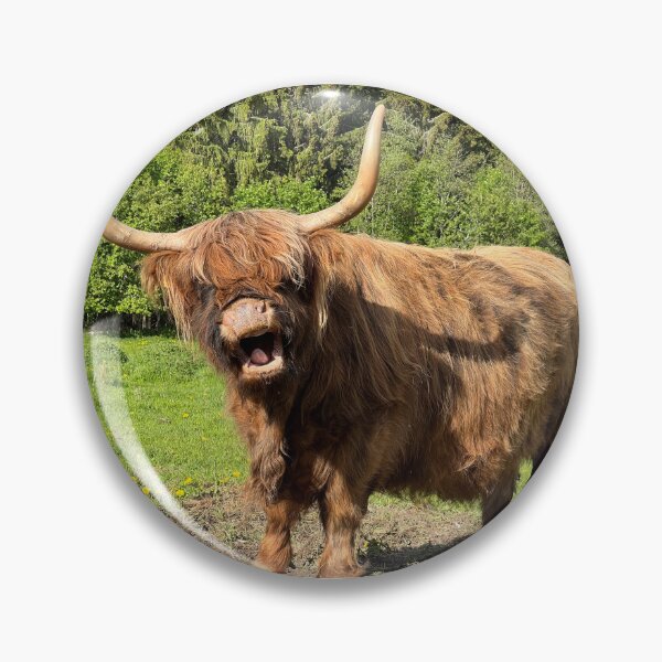 Item preview, Scottish Highland Cattle Cow 4445 designed and sold by SaarelaHighland.