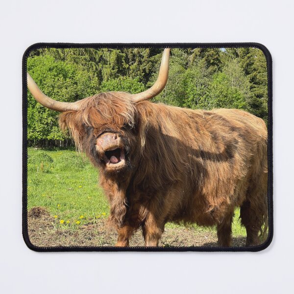 Item preview, Scottish Highland Cattle Cow 4445 designed and sold by SaarelaHighland.