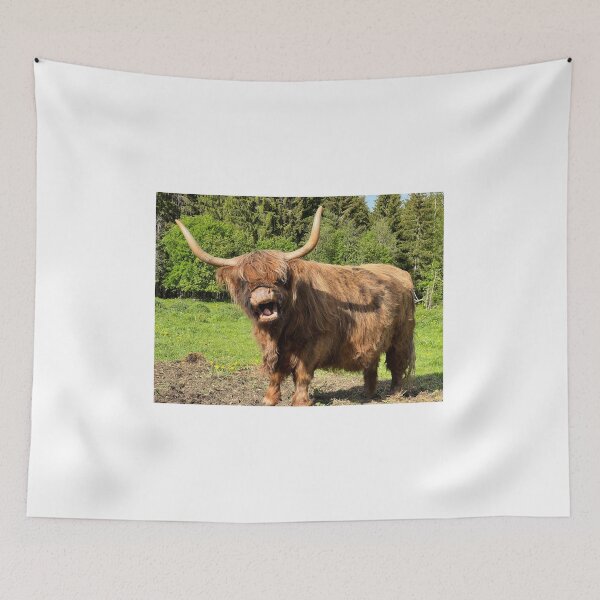 Item preview, Scottish Highland Cattle Cow 4445 designed and sold by SaarelaHighland.