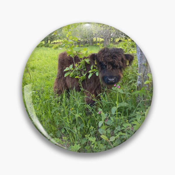 Item preview, Scottish Highland Cattle Calf 4446 designed and sold by SaarelaHighland.