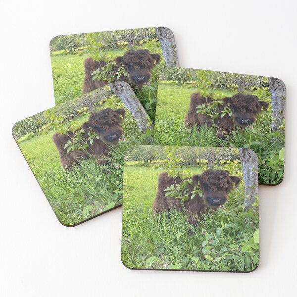 Item preview, Scottish Highland Cattle Calf 4446 designed and sold by SaarelaHighland.