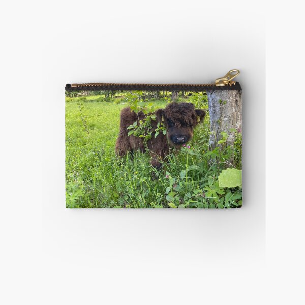 Item preview, Scottish Highland Cattle Calf 4446 designed and sold by SaarelaHighland.