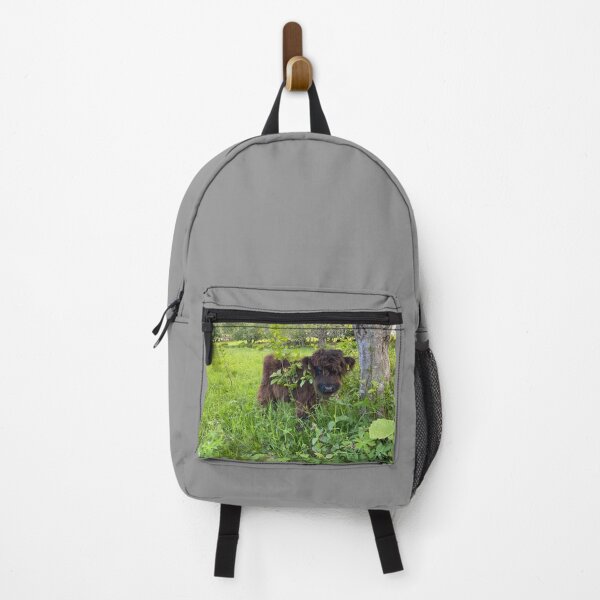 Item preview, Scottish Highland Cattle Calf 4446 designed and sold by SaarelaHighland.