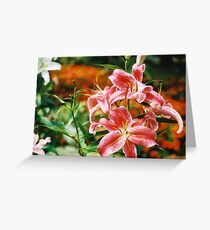 Rubrum Lilly Greeting Card