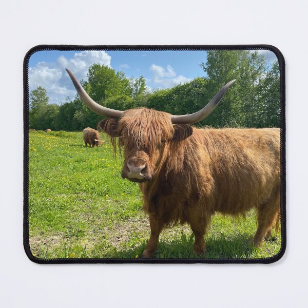 Item preview, Scottish Highland Cattle Cow 4447 designed and sold by SaarelaHighland.