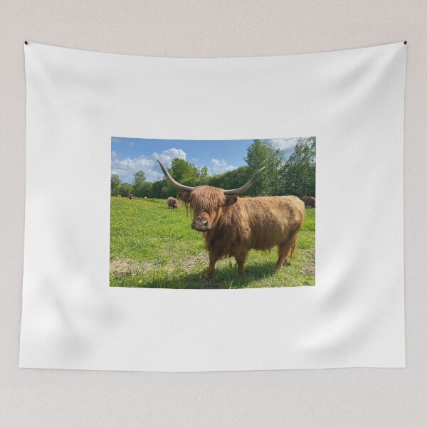 Item preview, Scottish Highland Cattle Cow 4447 designed and sold by SaarelaHighland.