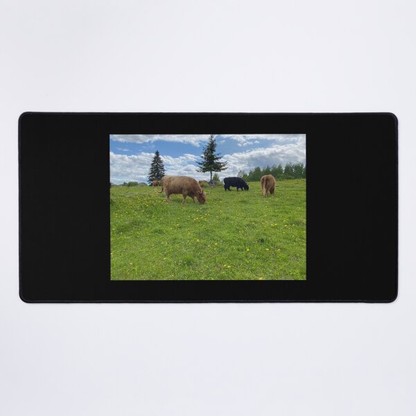 Item preview, Scottish Highland Cattle Cows 4448 designed and sold by SaarelaHighland.