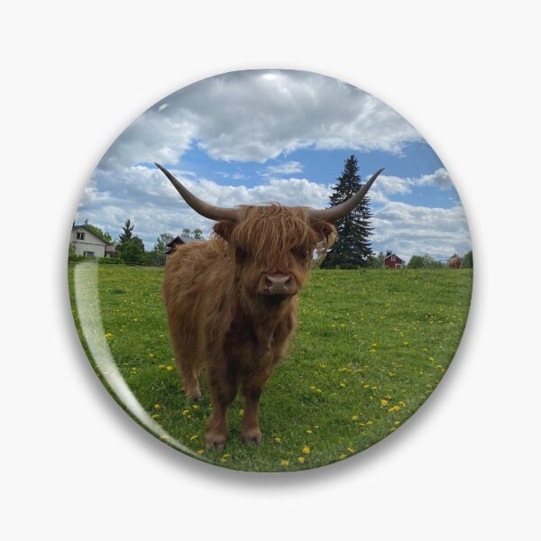 Item preview, Scottish Highland Cattle Cow 4449 designed and sold by SaarelaHighland.