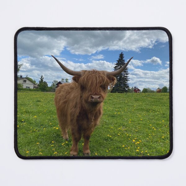 Item preview, Scottish Highland Cattle Cow 4449 designed and sold by SaarelaHighland.