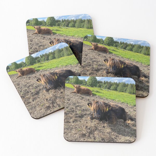 Item preview, Scottish Highland Cattle Calf 4451 designed and sold by SaarelaHighland.