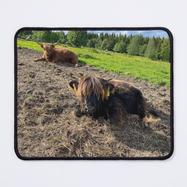 Item preview, Scottish Highland Cattle Calf 4451 designed and sold by SaarelaHighland.