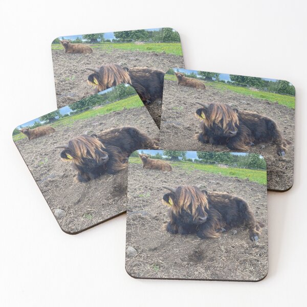Item preview, Scottish Highland Cattle Calf 4453 designed and sold by SaarelaHighland.