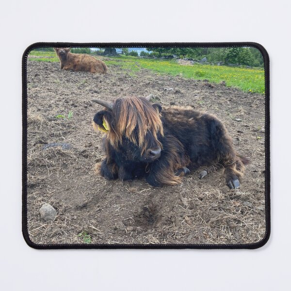 Item preview, Scottish Highland Cattle Calf 4453 designed and sold by SaarelaHighland.