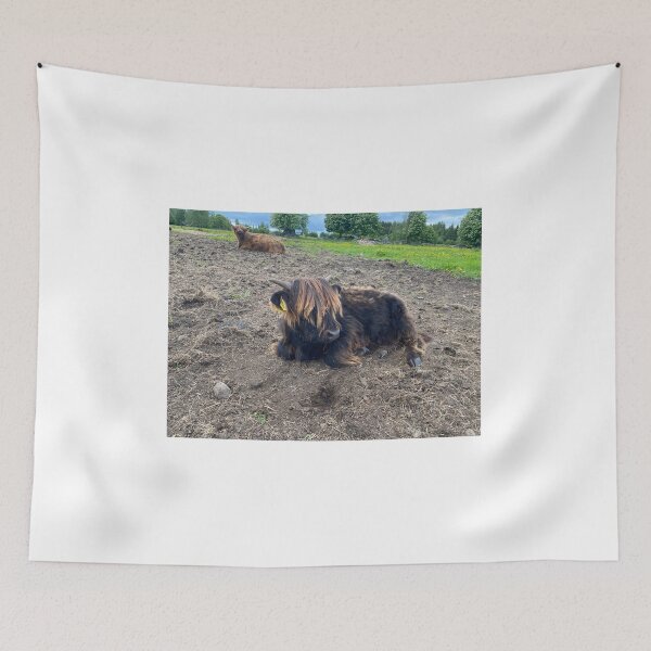 Item preview, Scottish Highland Cattle Calf 4453 designed and sold by SaarelaHighland.