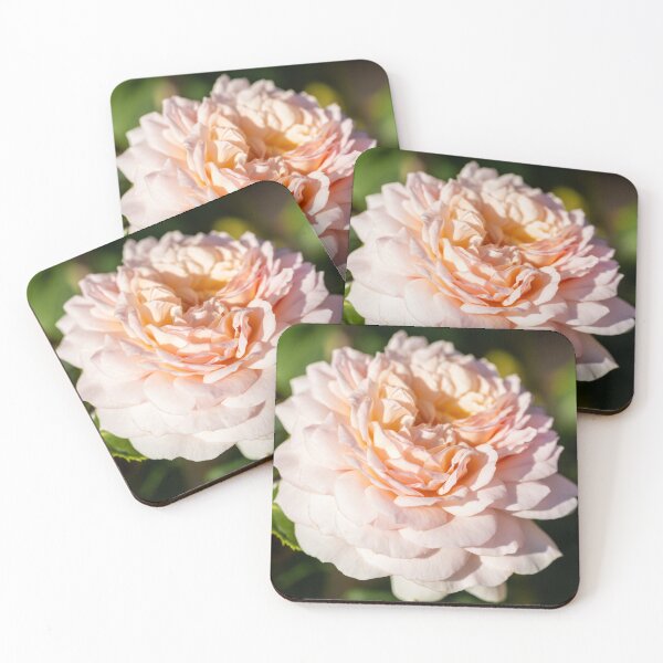 Item preview, An English Rose designed and sold by Tanya C  Smith.