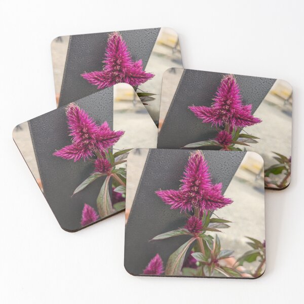 Item preview, City Flowers designed and sold by TheRealDanniX.