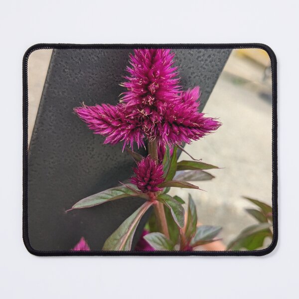 Item preview, City Flowers designed and sold by TheRealDanniX.