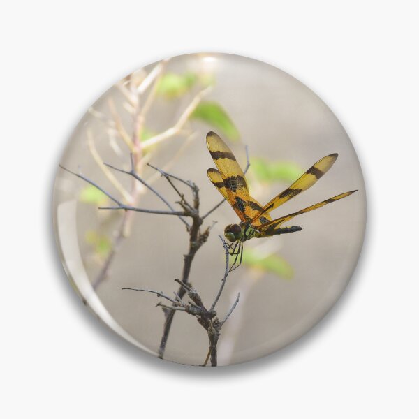 Item preview, Dragonfly designed and sold by StellaMilada.