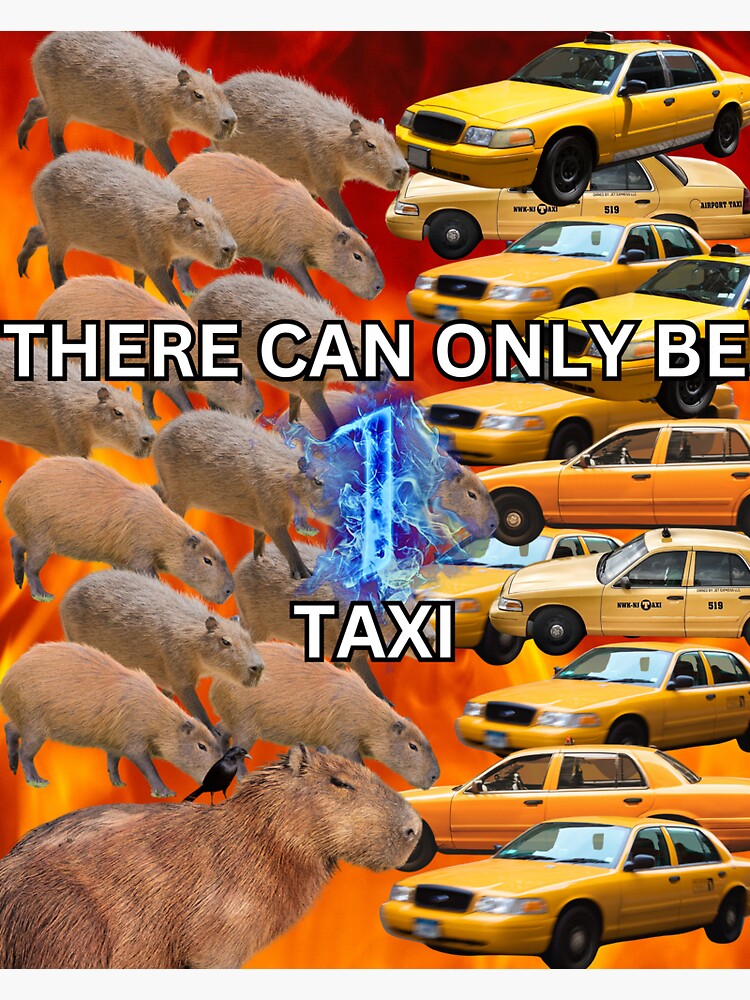 Capybaras vs Taxis - There can only be 1 taxi" Sticker for Sale by  PrestigePenguin | Redbubble