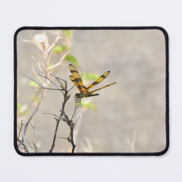 Item preview, Dragonfly designed and sold by StellaMilada.